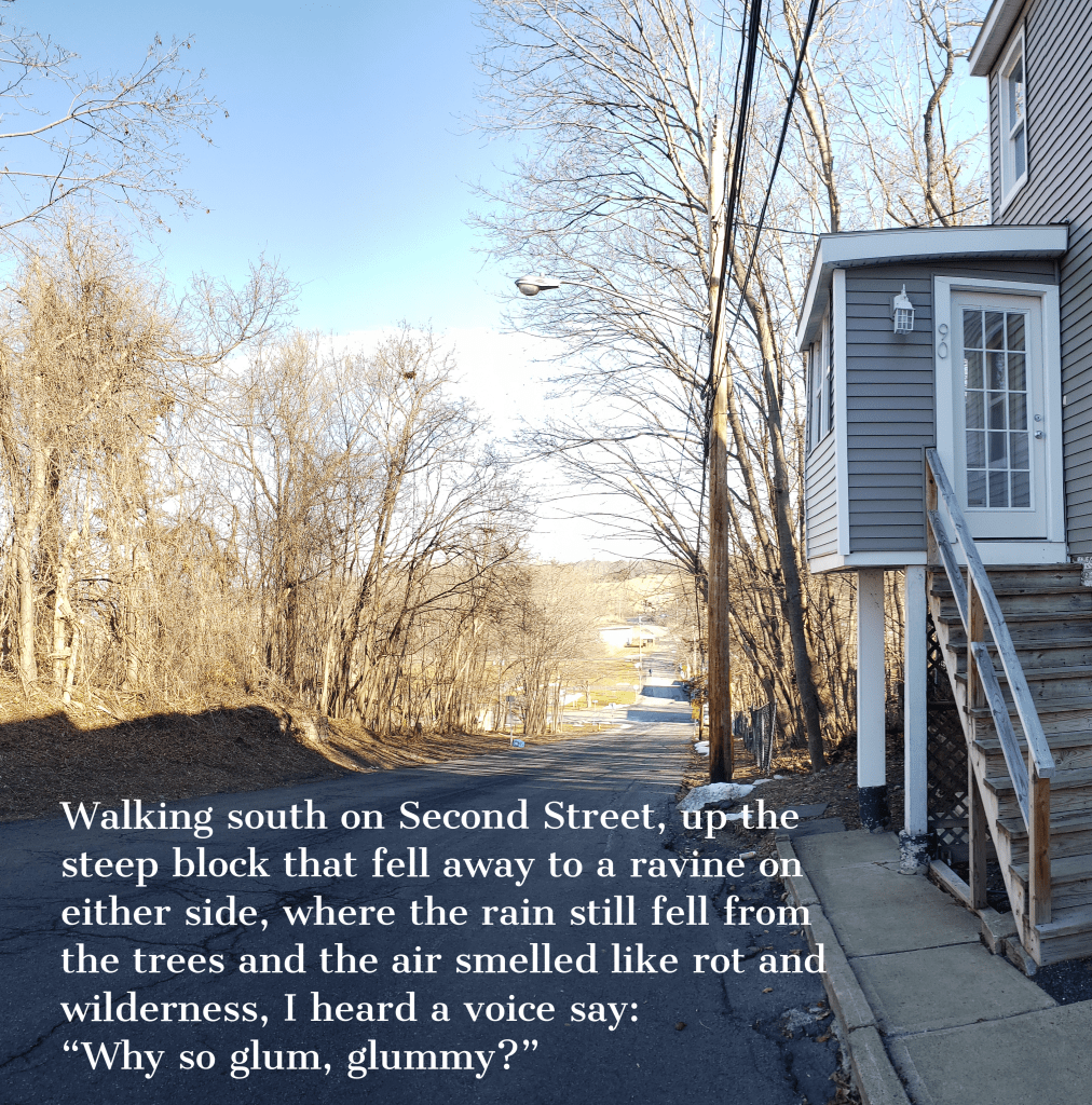 A road on a tree-lined street in winter, after the leaves have all fallen. A new-looking house sits on the corner. Text reads, Walking south on Second Street, up the steep block that fell away to a ravine on either side, where the rain still fell from the trees and the air smelled like rot and wilderness, I heard a voice say: Why so glum, glummy?