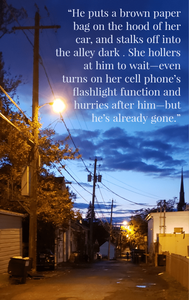 An evening sky with a streetlight on in the foreground, over a quiet back alley. Text reads, He puts a brown paper bag on the hood of her car, and stalks off into the alley dark. She hollers at him to wait - even turns on her cell phone's flashlight function and hurries after him - but he's already gone.